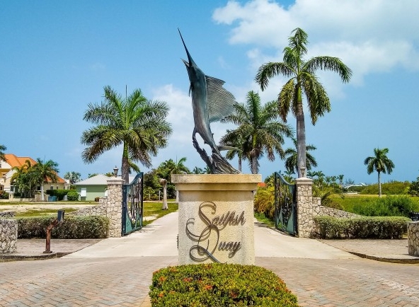 Sailfish
